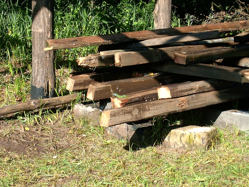 20100605 001.jpg